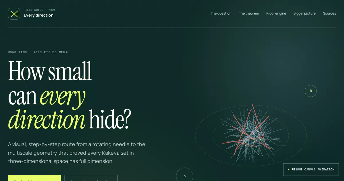 Every Direction, Full Dimension guide showing a field of Kakeya tubes